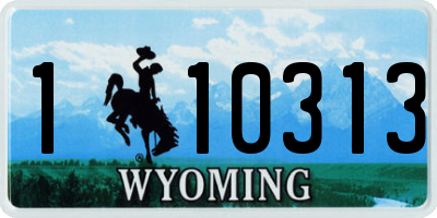 WY license plate 110313