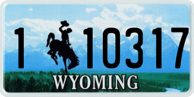 WY license plate 110317