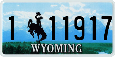 WY license plate 111917