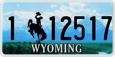 WY license plate 112517