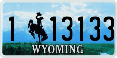 WY license plate 113133