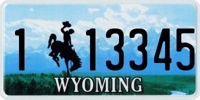 WY license plate 113345