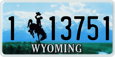 WY license plate 113751