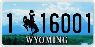 WY license plate 116001