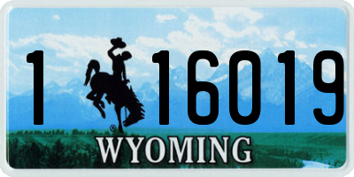 WY license plate 116019
