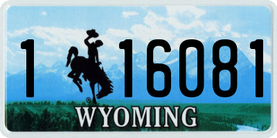 WY license plate 116081