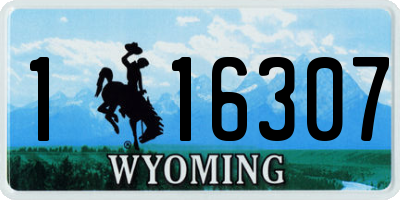 WY license plate 116307
