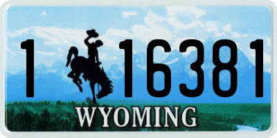 WY license plate 116381