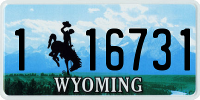 WY license plate 116731