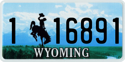 WY license plate 116891