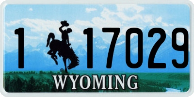 WY license plate 117029