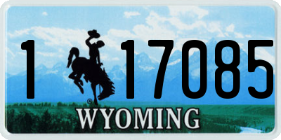 WY license plate 117085
