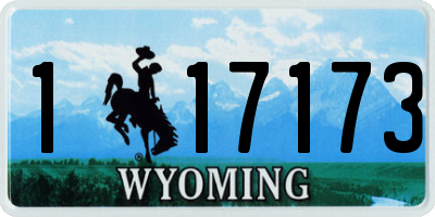 WY license plate 117173