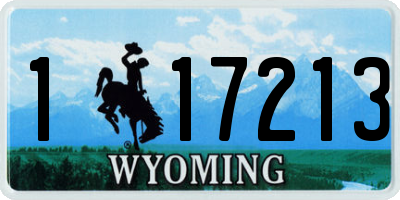 WY license plate 117213