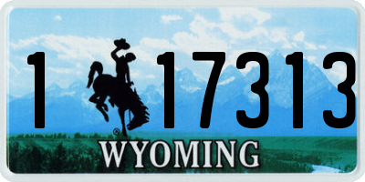 WY license plate 117313