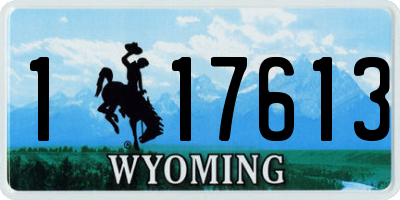 WY license plate 117613