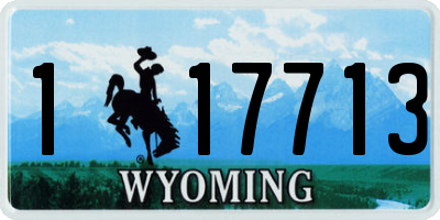WY license plate 117713