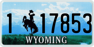 WY license plate 117853
