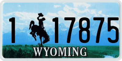 WY license plate 117875