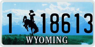 WY license plate 118613