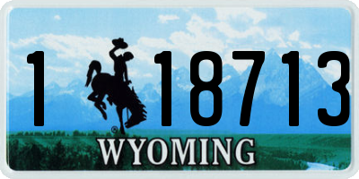 WY license plate 118713