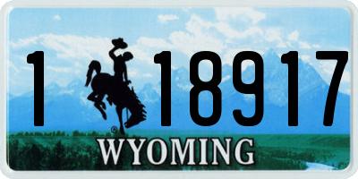 WY license plate 118917