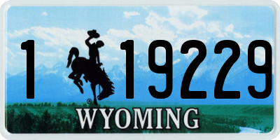 WY license plate 119229