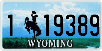 WY license plate 119389