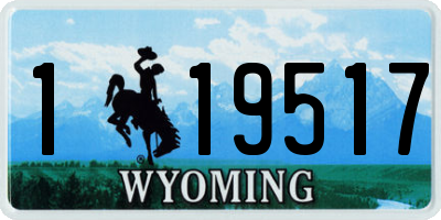 WY license plate 119517