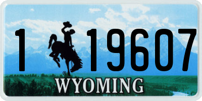WY license plate 119607