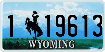 WY license plate 119613