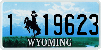WY license plate 119623
