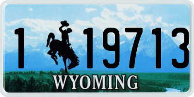 WY license plate 119713
