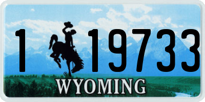 WY license plate 119733