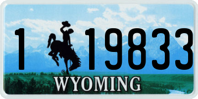 WY license plate 119833