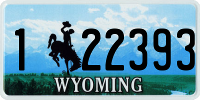 WY license plate 122393