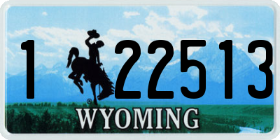 WY license plate 122513