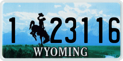 WY license plate 123116