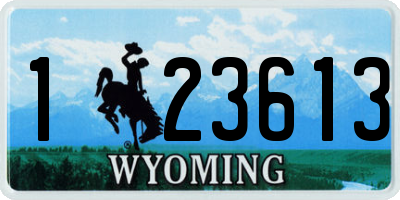 WY license plate 123613