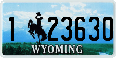 WY license plate 123630