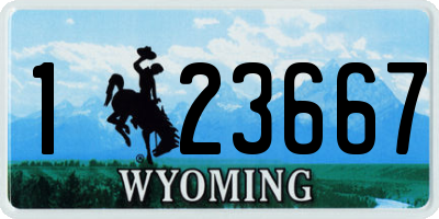 WY license plate 123667