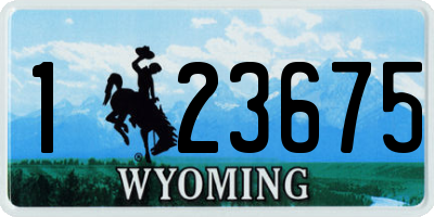 WY license plate 123675