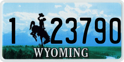 WY license plate 123790