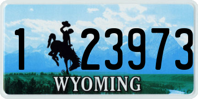 WY license plate 123973