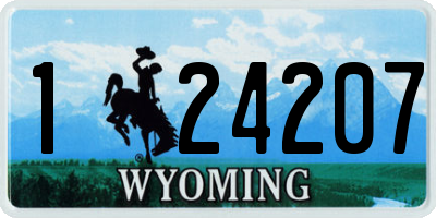 WY license plate 124207