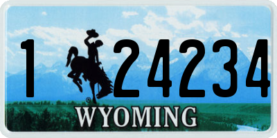 WY license plate 124234