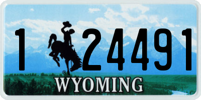 WY license plate 124491