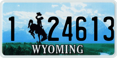 WY license plate 124613