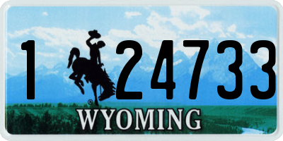 WY license plate 124733