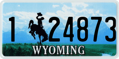 WY license plate 124873